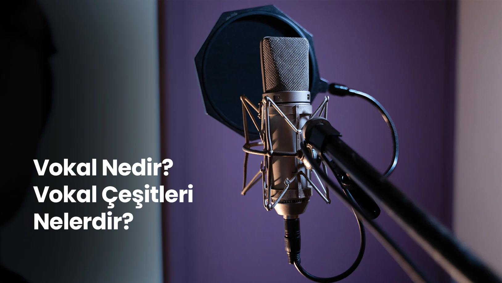 Vokal Nedir? Vokal Çeşitleri Nelerdir?