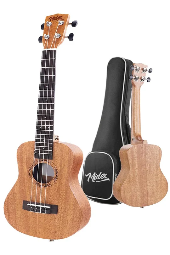 Ukulele Kullanım Alanları