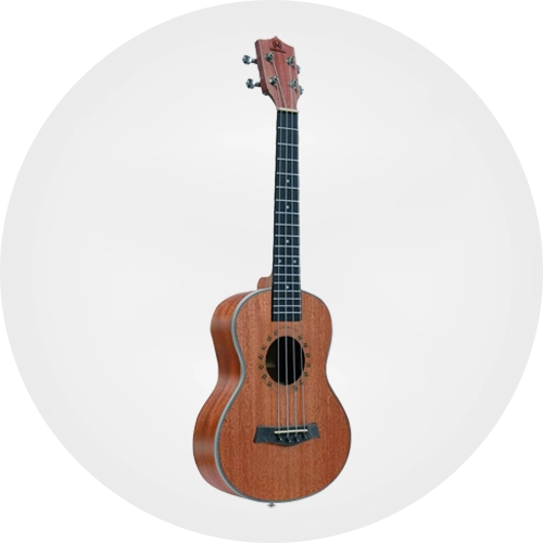 Ukulele Modelleri ve Fiyatları