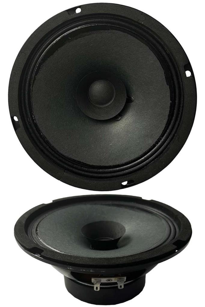 Lastvoice AYN-6 Full Kağıt 100 Watt 8 Ohm 16 cm 6 İnç Hoparlör (Adet)