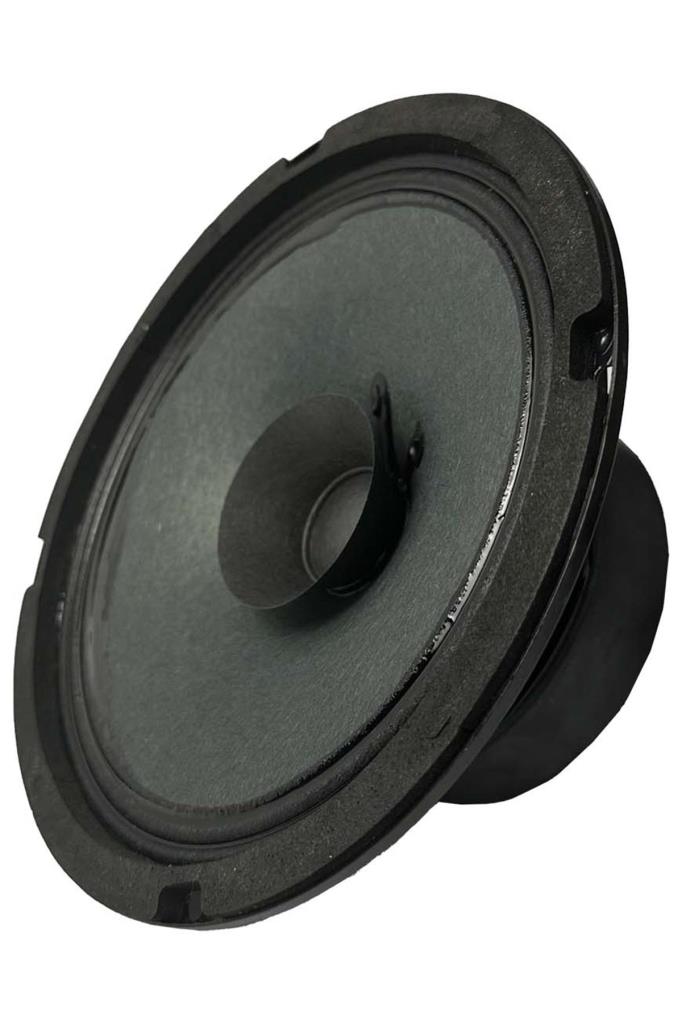 Lastvoice AYN-6 Full Kağıt 100 Watt 8 Ohm 16 cm 6 İnç Hoparlör (Adet)