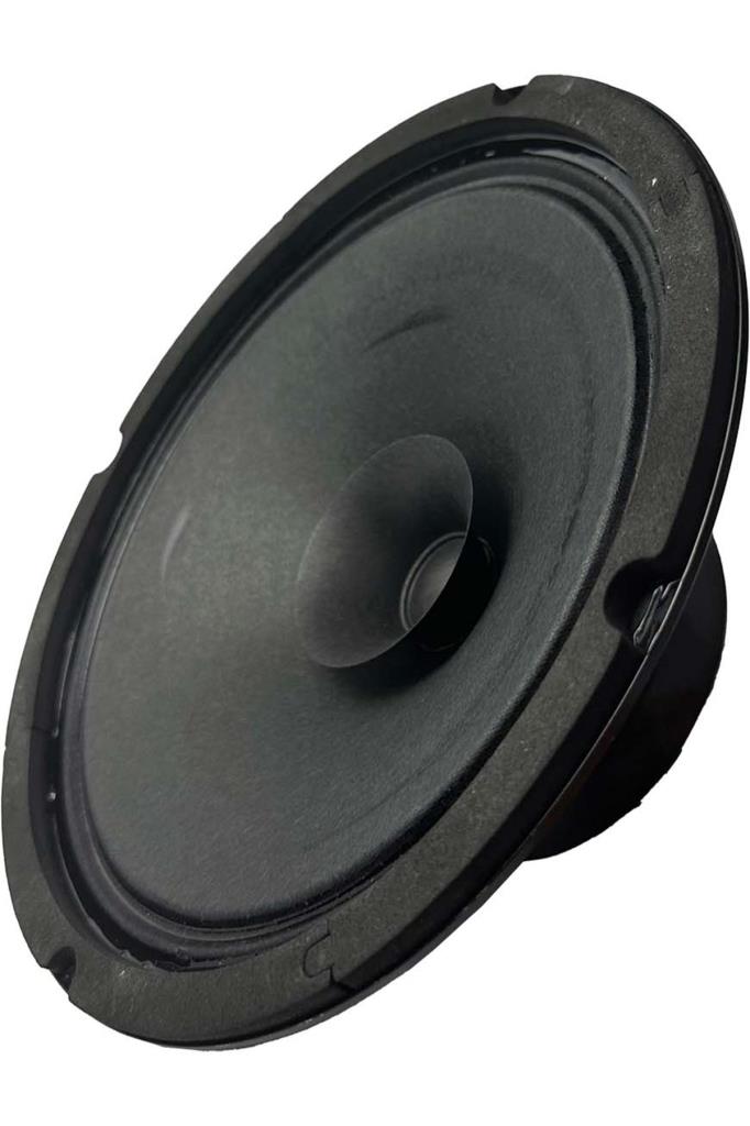 Lastvoice AYN-8 Full Kağıt 150 Watt 8 Ohm 20 cm 8 İnç Hoparlör (Adet)