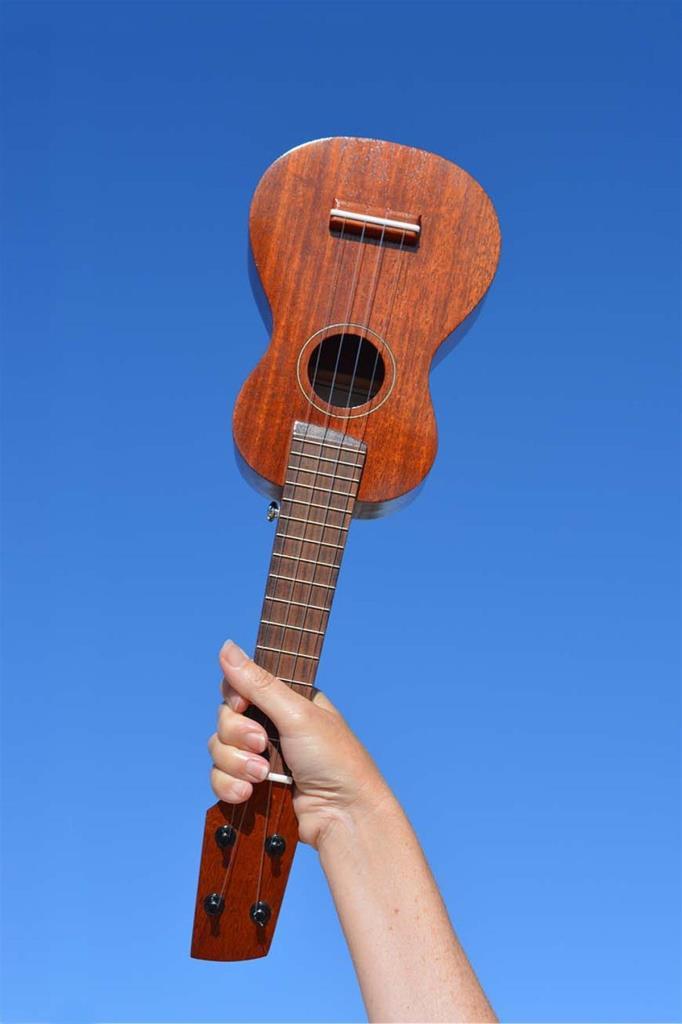 Yonka Akademi - Online Ukulele Dersi (4 Ders - 1 Kur)